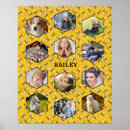 Recherche de ruches posters Pour eux