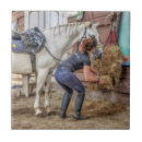 Recherche de heure du repas Cheval