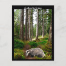 Recherche de ecosse cartes postales Printemps