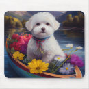 Recherche de bichon tapis souris Chien