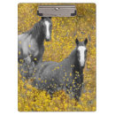 Recherche de champ des fleurs porte blocs Paysages