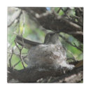 Recherche de nid carreaux Nature