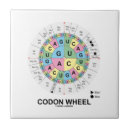 Recherche de codon Acides aminés