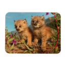 Recherche de de lynx magnets Faune