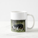 Recherche de border collie tasses Rassemblement du chien