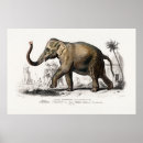 Recherche de zoologie vintage posters Pour tous