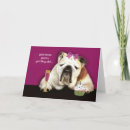 Recherche de bouledogue humoristique vœux cartes Chien