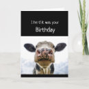 Recherche de humour vache anniversaire cartes Animal