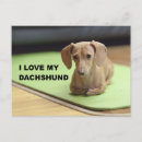 Recherche de haches cartes postales Dachshund
