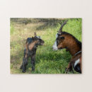 Recherche de chèvre de bébé puzzles Animaux
