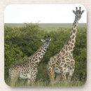 Recherche de girafe de dessous de verres Faune
