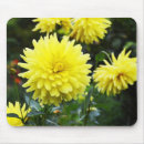 Recherche de dahlia tapis souris Anniversaire