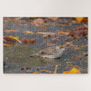 Recherche de moineau puzzles Faune