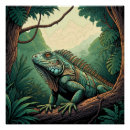 Recherche de reptile posters Iguane