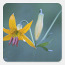 Recherche de columbia autocollants Usa