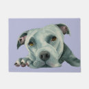 Recherche de pitbull américain Pittie