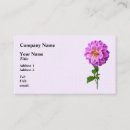 Recherche de dahlia rose cartes visite Nature