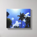 Recherche de cocotier posters Bleu