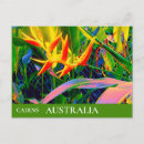 Recherche de le queensland cartes postales Tropical
