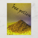 Recherche de pollen cartes postales Jaune