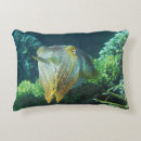 Recherche de seiches coussins Calmar