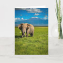 Recherche de le kenya vœux cartes Mt kilimanjaro