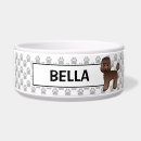 Recherche de caniche Dogs