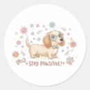 Recherche de chiot teckel autocollants Amoureux des chiens
