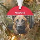 Recherche de malinois ornements Berger