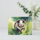 Recherche de cobaye cartes postales Caillou