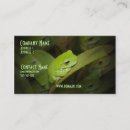 Recherche de froggie cartes visite Froggy