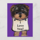 Recherche de poo cartes postales Yorkie