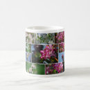 Recherche de verger classiques tasses Fleurs