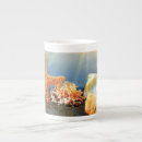 Recherche de coquillage tasses Étoiles de mer