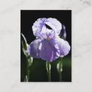 Recherche de iris cartes visite Printemps