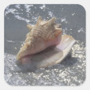 Recherche de île de sanibel autocollants Océan