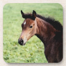 Recherche de arabe dessous de verres Cheval