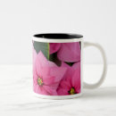 Recherche de poinsettia tasses Flore