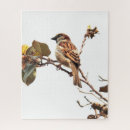 Recherche de moineau puzzles Arbre