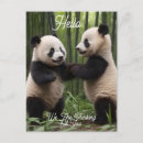 Recherche de panda bébé cartes postales Pandas