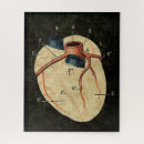 Recherche de coeur humain Diagramme