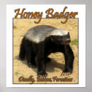Recherche de de chasseur posters Sauvage