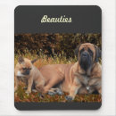 Recherche de bouledogues français tapis souris Chiens