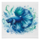 Recherche de betta posters Aquarelle