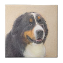 Recherche de bétail carreaux Montagne