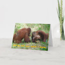 Recherche de 21 drôle anniversaire cartes Âge