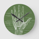 Recherche de anatomique horloges Cru