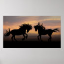 Recherche de étalon sauvage posters Cheval