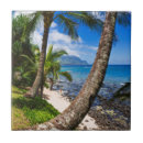 Recherche de palmier carreaux Littoral