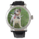 Recherche de langue montres Animal